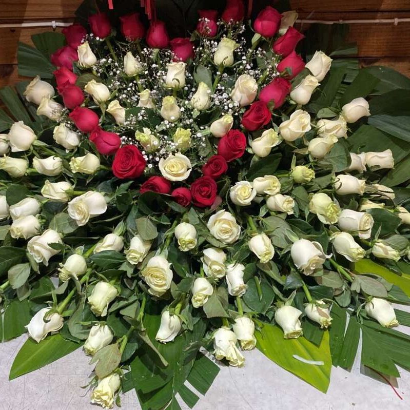 Cubrecaja de 100 rosas blancas y rojas, de Florería Isis