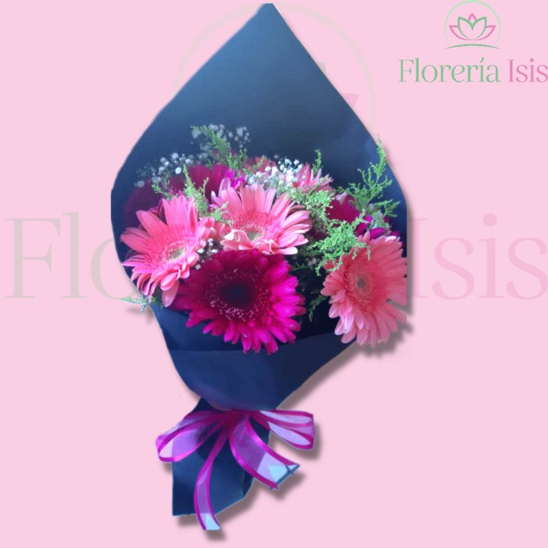 Ramo de 10 gerberas, de Florería Isis